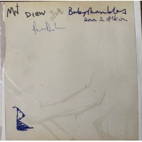 Babyshambles – Down In Albion colored vinyl Babyshambles – Down In Albion colored vinyl