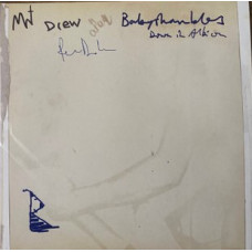 Babyshambles – Down In Albion colored vinyl