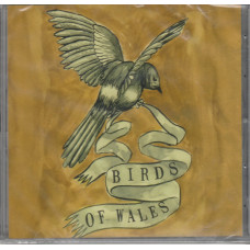 Birds Of Wales – Birds Of Wales cd e.p.