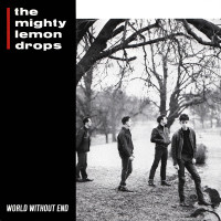 The Mighty Lemon Drops ‎– World Without End cd USED