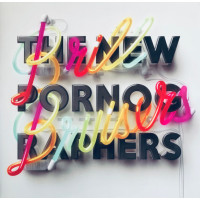 The New Pornographers – Brill Bruisers vinyl