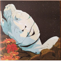 The New Pornographers – In The Morse Code Of Brake Lights vinyl