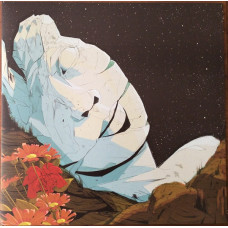 The New Pornographers – In The Morse Code Of Brake Lights vinyl The New Pornographers – In The Morse Code Of Brake Lights vinyl