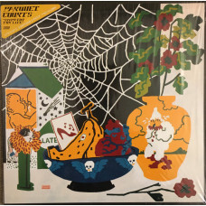 Parquet Courts – Sympathy For Life vinyl