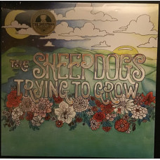 The Sheepdogs – Trying To Grow vinyl