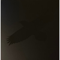 Sigur Ros With Steindor Andersen, Hilmar Orn Hilmarsson And María Huld Markan Sigfusdottir – Odin's Raven Magic vinyl
