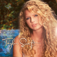 Taylor Swift – Taylor Swift vinyl