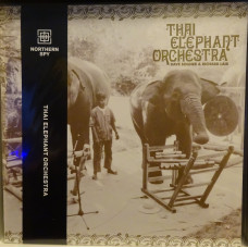 Thai Elephant Orchestra with Dave Soldier & Richard Lair – Thai Elephant Orchestra vinyl + 7" single RSD 2021