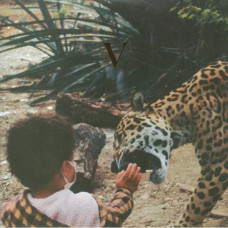 Unknown Mortal Orchestra – V coloured vinyl