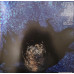 Waxahatchee – Cerulean Salt colored vinyl